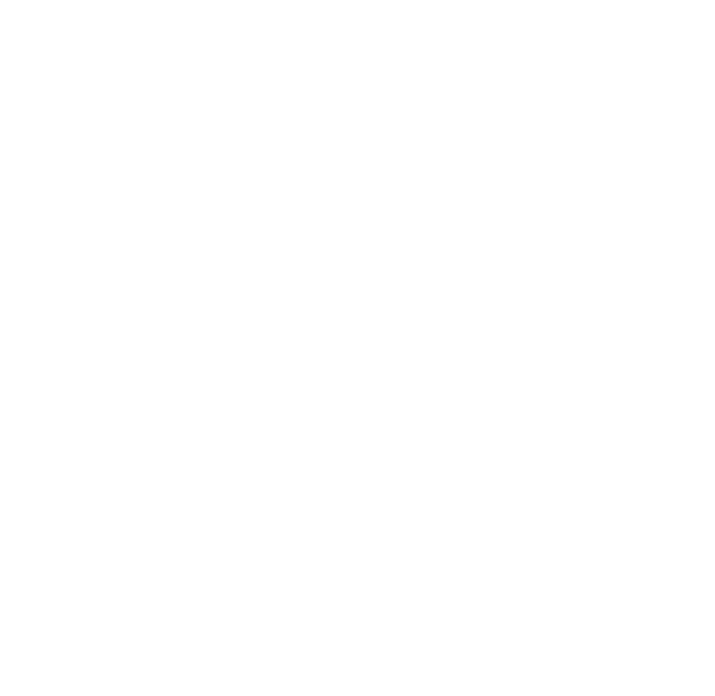 Logo The Kayak Trip