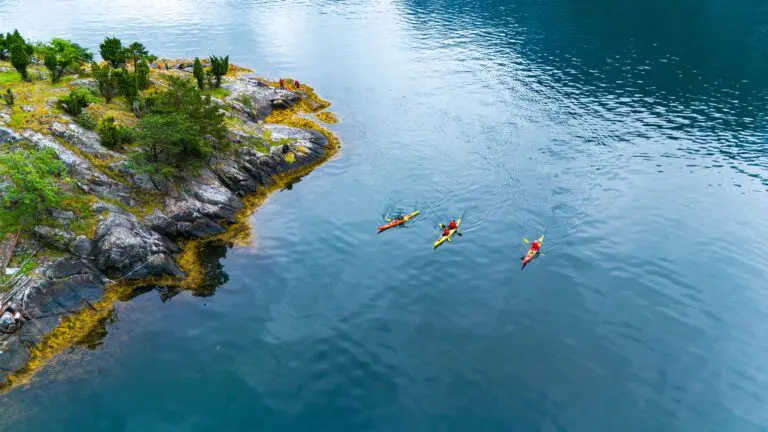 Des kayakistes pagayant le long d’une côte rocheuse bordée d’arbres