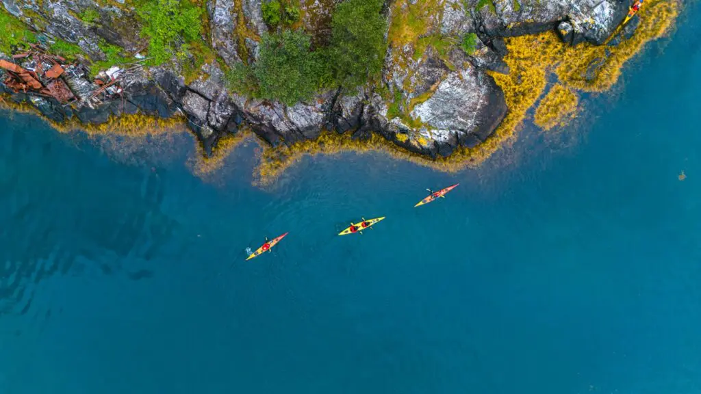 trois kayaks pagayant le long d’une côte rocheuse et verdoyante