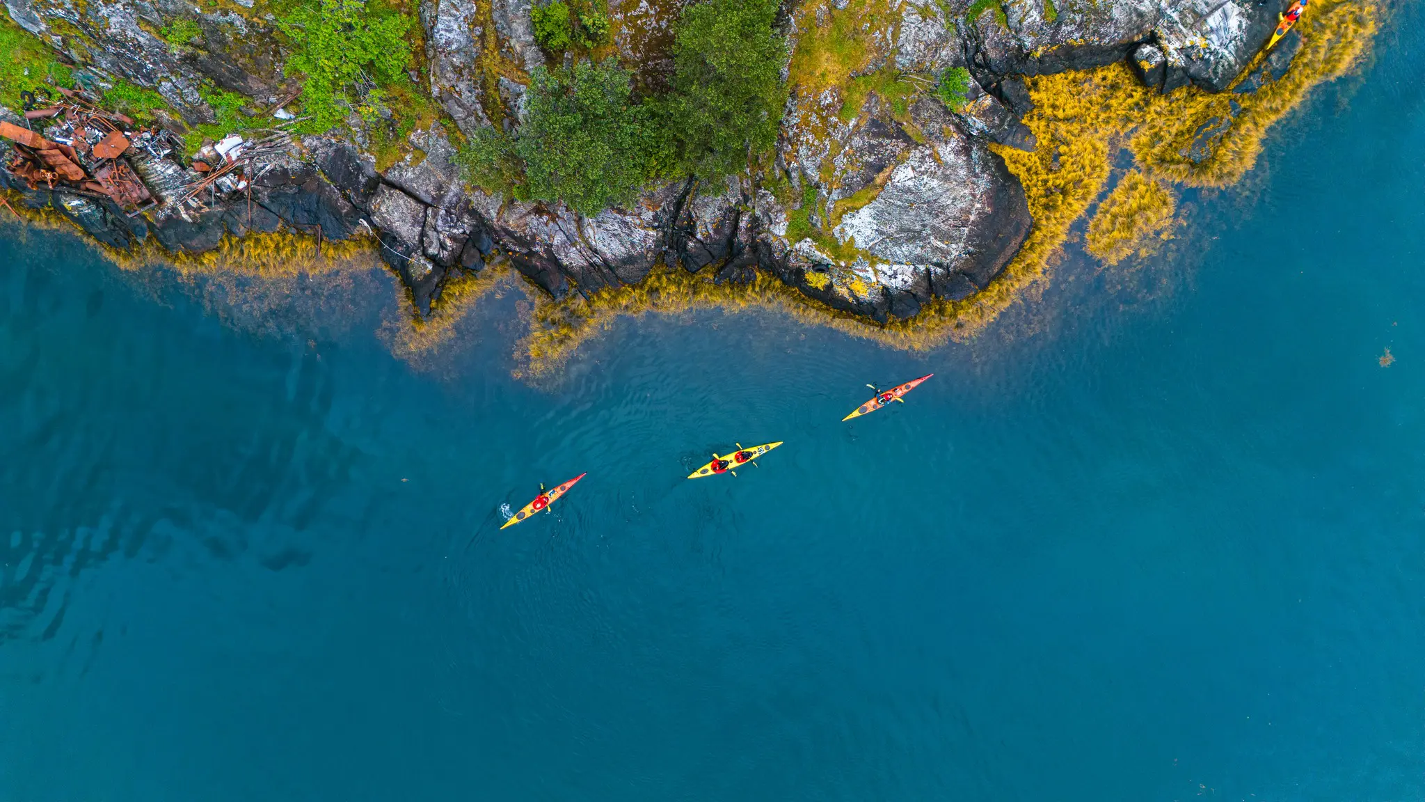 trois kayaks pagayant le long d’une côte rocheuse et verdoyante