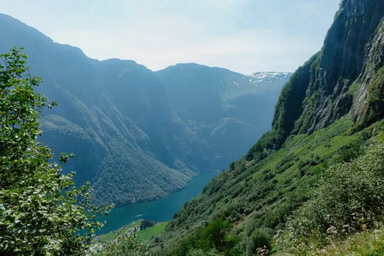 vue panoramique sur un fjord norvégien entouré de montagnes verdoyantes