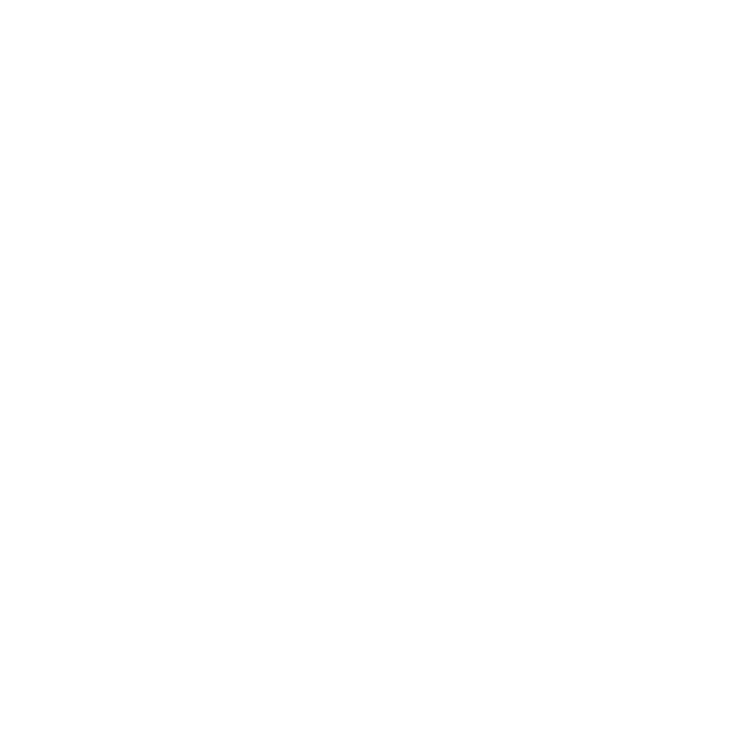 The kayak trip logo white