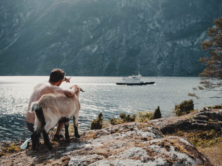 men hugging goat and looking at a cruise - Kajakken - Noorwegen fjord - wandelen in Noorwegen - kayaking - vanaf luchthaven Brussel