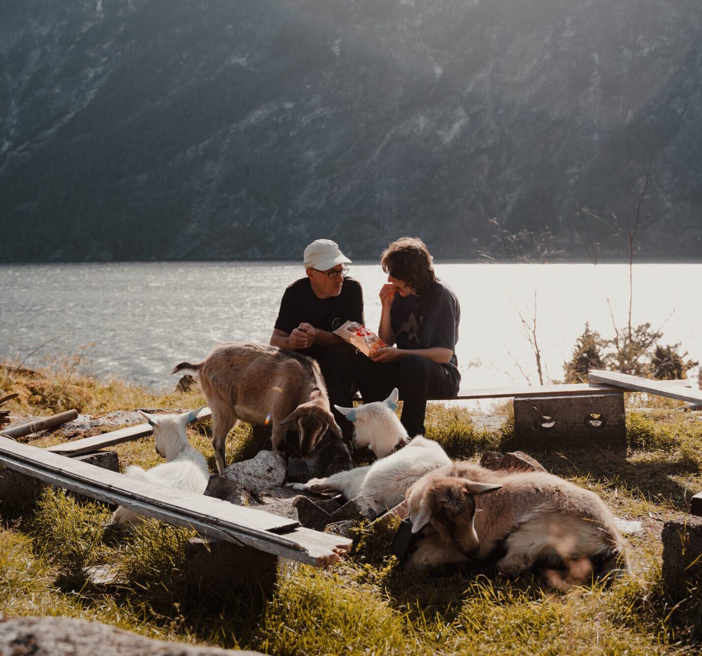 2 people eating chips with goats - Kajakken - Noorwegen fjord - wandelen in Noorwegen - kayaking - vanaf luchthaven Brussel